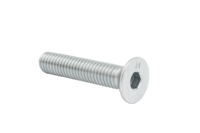 INSEXBULT FÖRSÄNKT M5X45 10.9 FZB