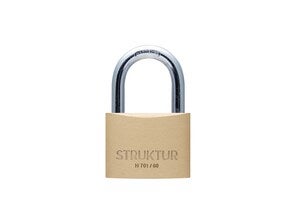 HÄNGLÅS STRUKTUR MÄSSING H 701 /60 1 ST