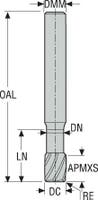PINNFRÄS HM 421060R100Z2-MEGA-T
