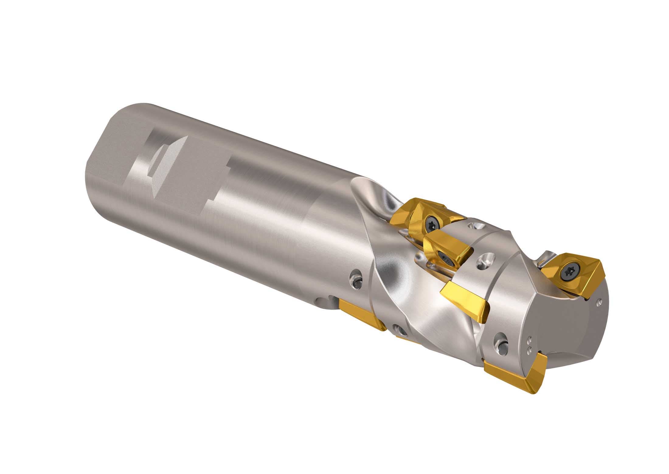 FRÄS R217.69-01.00-3-01.65-10- 2A