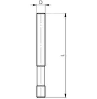 PINNBULT 6379-M12X100
