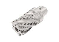 FRÄS C6-R217.69-063-074-12.5B AN