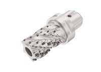 FRÄS  C6-R217.69-050-064-12.5B AN