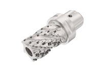 FRÄS C6-R217.69-050-064-12.5B AN