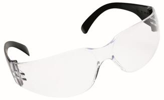 GLASÖGON CHEETAH KLAR WORKSAFE