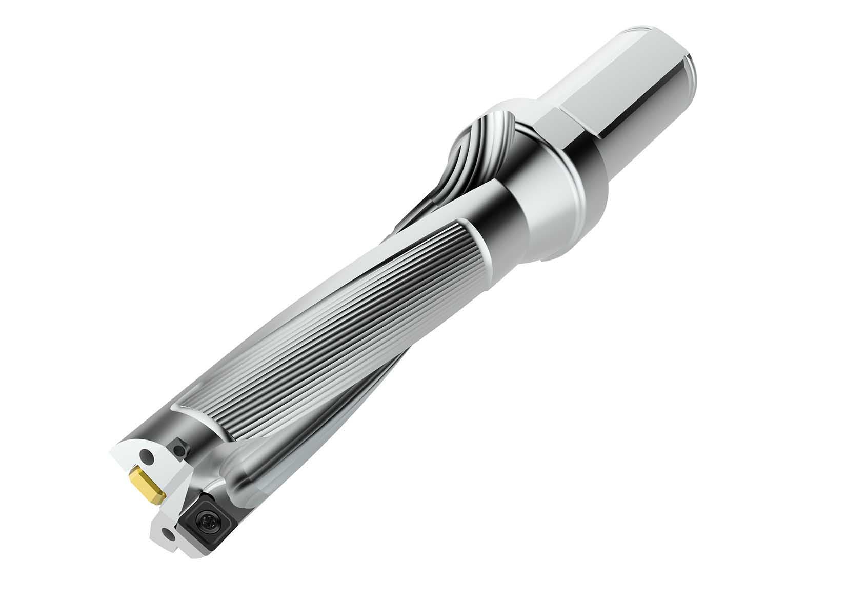 BORR SD524-30-120-32R7