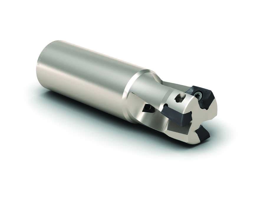 FRÄS R217.69-01.25-3-12-4AN