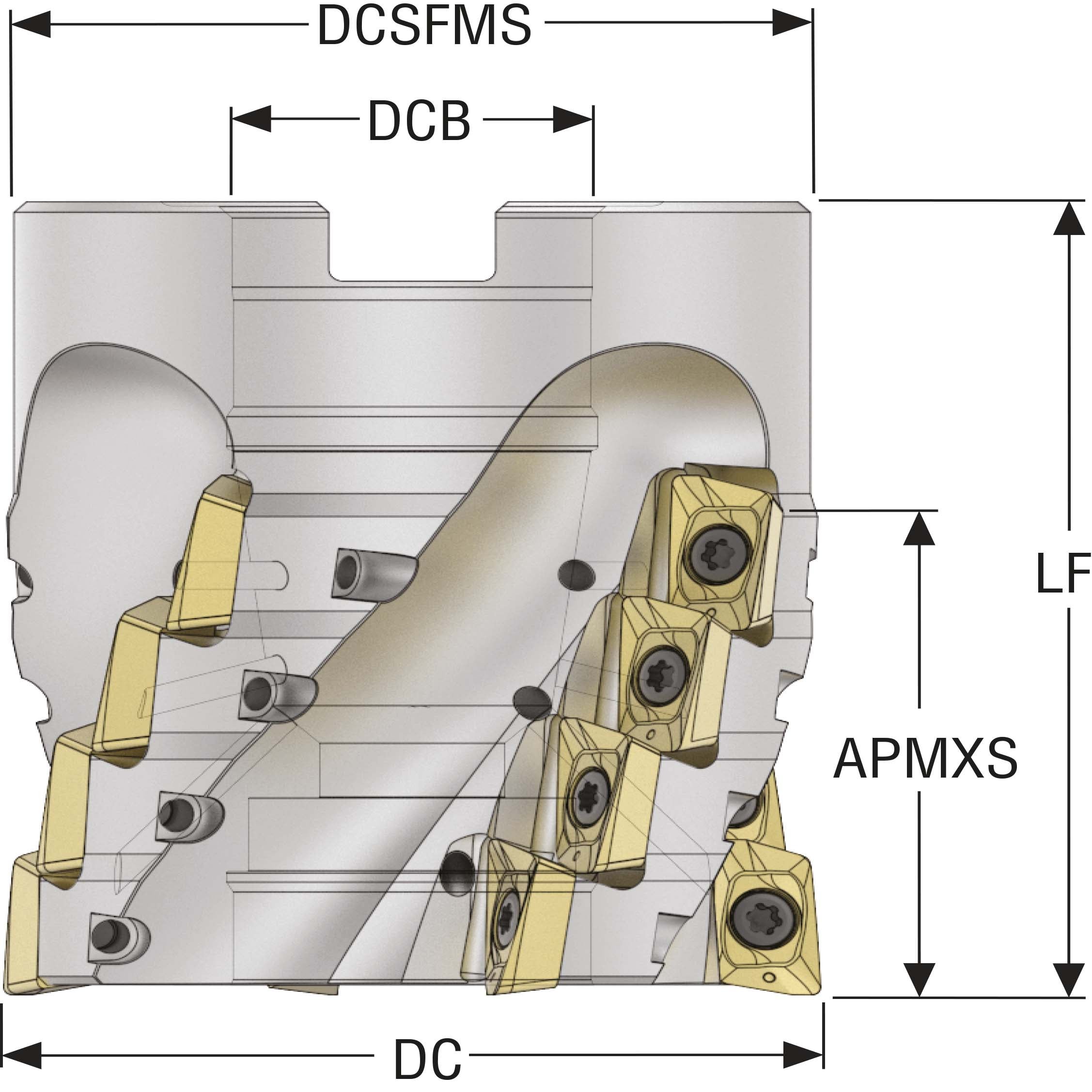 FRÄS  R220.69-02.50-12L4BAN