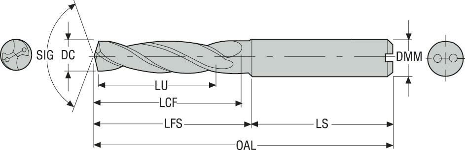 BORR SD203A-10.2-31-12R1-N